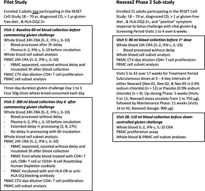 A Sensitive Whole Blood Assay Detects Antigen-Stimulated Cytokine Release From CD4+ T Cells and Facilitates Immunomonitoring in a Phase 2 Clinical Trial of Nexvax2 in Coeliac Disease